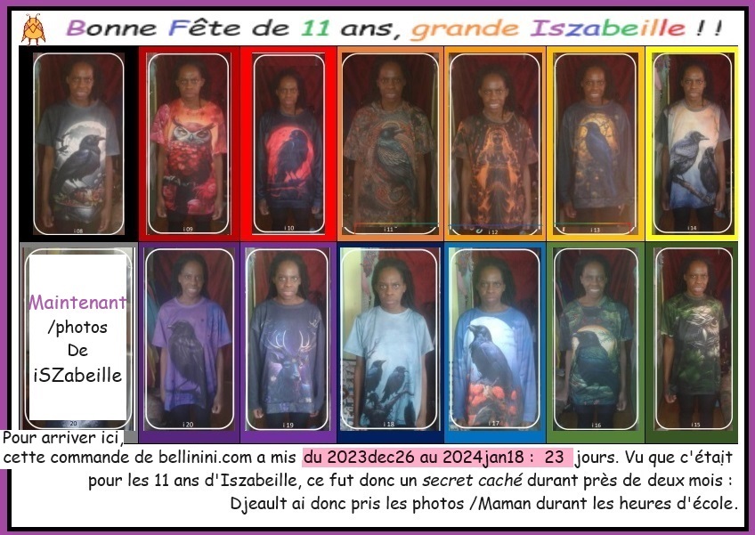 11ansDiszabeille