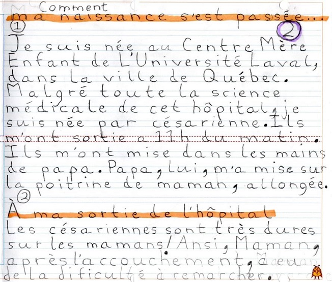 naissanceDiszabeille